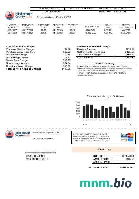 Szablon rachunku za media Biznesowe w hrabstwie Hillsborough w formatach Word i PDF